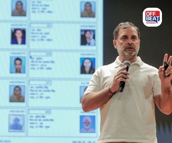 'મેં જાતે મતદાન કર્યું, કોઈ મત ચોરી થઈ નથી'