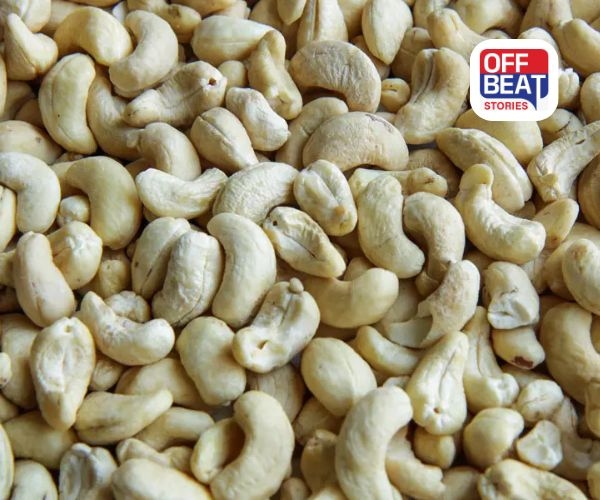 તમારા ખેતરમાં ઉગાડો 'સફેદ સોનું'