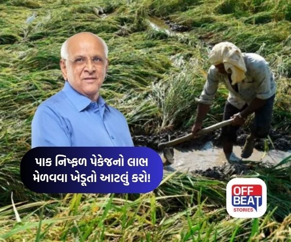 હેક્ટર દીઠ 22000ની સહાય માટે આવતીકાલથી ખેડૂતો અરજી કરી શકશે