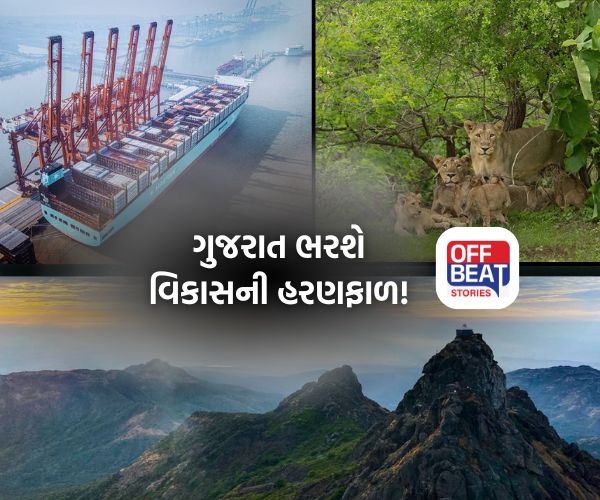 VGRC દ્વારા કચ્છ અને સૌરાષ્ટ્રમાં રોકાણને મળશે વેગ