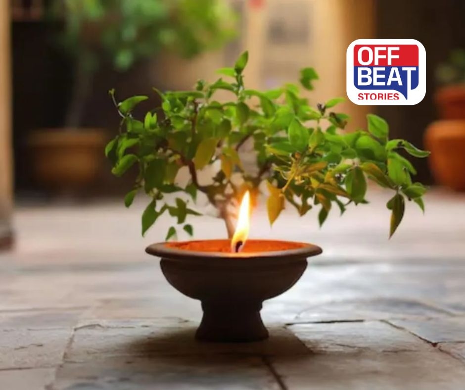 ઘરમાં પૈસાની તંગી છે?