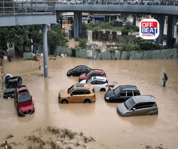 30 લાખ પશુઓ વહી ગયા, 2 લાખ ઘર તબાહ