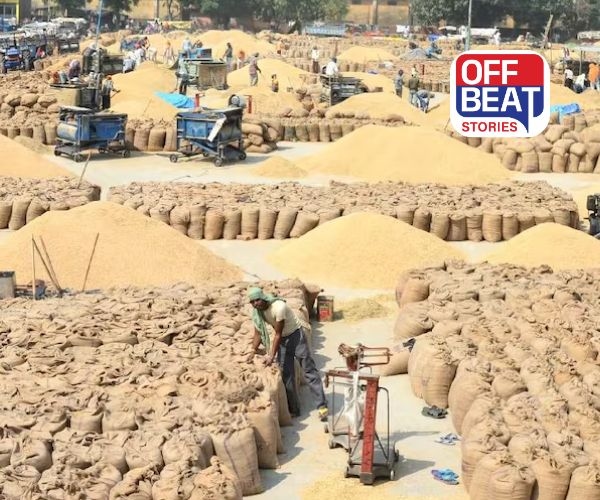 ગુજરાતના ખેડૂતો માટે મોટા સમાચાર