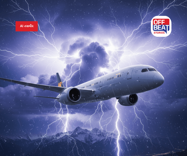 હવાઈ મુસાફરી દરમિયાન વિમાનમાં કેમ અનુભવાય છે આંચકા?