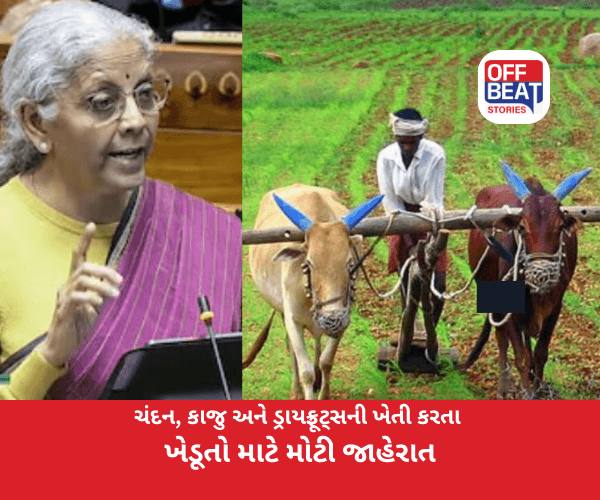 ચંદન, કાજુ અને ડ્રાયફ્રૂટ્સની ખેતી કરતા ખેડૂતો માટે મોટી જાહેરાત