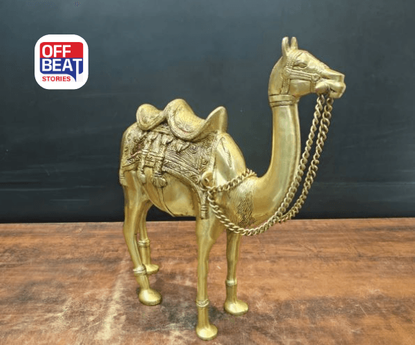 ઘરમાં ઊંટની પ્રતિમા સ્થાપિત કરવાથી ચમકી શકે છે તમારું નસીબ