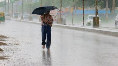 ધોધમાર વરસાદની હવામાન વિભાગની લેટેસ્ટ આગાહી