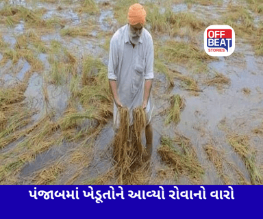પંજાબમાં તૂટ્યો વરસાદનો 70 વર્ષનો રેકોર્ડ