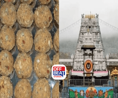 તિરુમાલા તિરુપતિ દેવસ્થાનમમાં લાડુ પ્રસાદમાં ઘીના ભેળસેળનો મોટો ખુલાસો