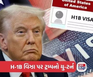 "અમેરિકામાં પ્રતિભાશાળી સ્થાનિક કામદારોની અછત છે..."