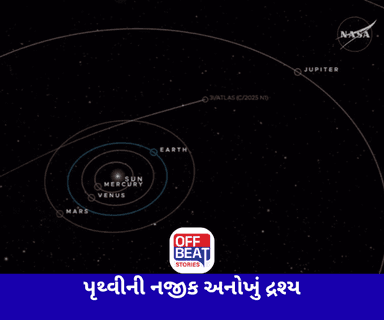 શું આ એલિયન છે?