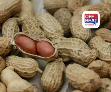 ગુજરાતમાં MSPનો મોટો દબદબો