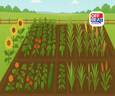 એક જ ખેતરમાં કેવી રીતે ઉગાડી શક્શો ફૂલ, શાકભાજી અને અનાજ?