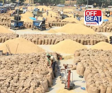 ગુજરાતના ખેડૂતો માટે મોટા સમાચાર