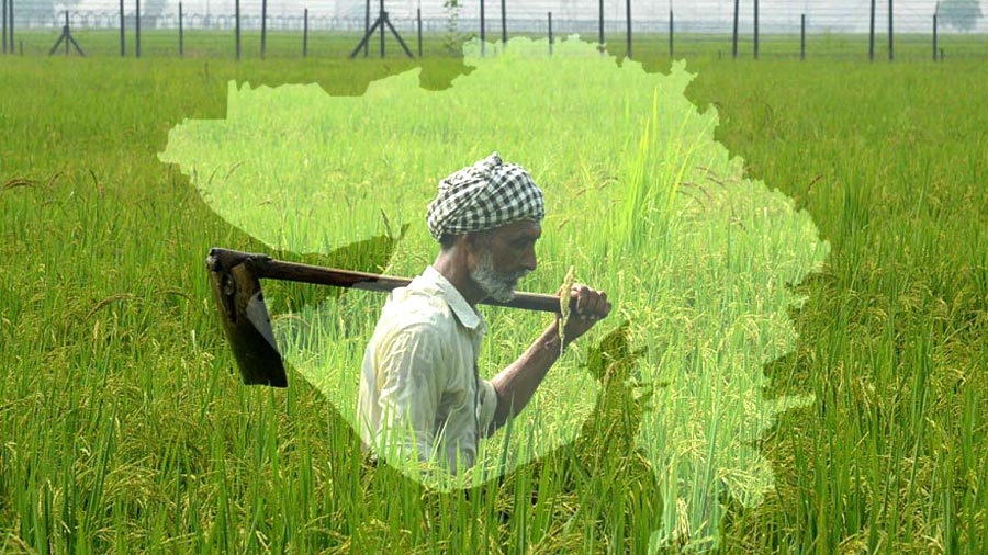 Good News For Farmers Of Gujarat | ગુજરાતના ખેડૂતો માટે સારા સમાચાર : મગફળી, મગ, અડદ અને સોયાબીનનું ટેકાના ભાવે વેચાણ કરવા ઈચ્છુક ખેડૂતો આ તારીખ સુધી કરાવી ...
