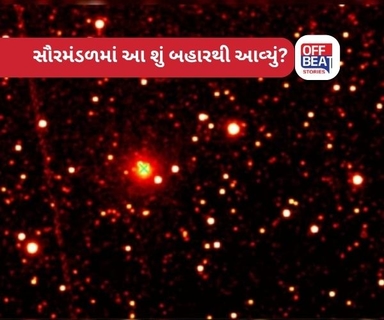 ‘બ્લેક સ્વાન’ ઘટના!