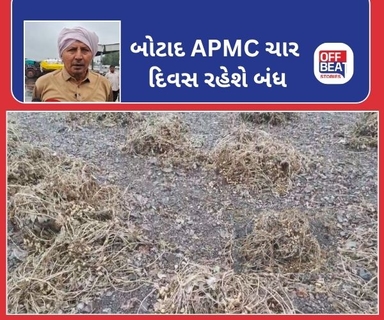 બોટાદ APMC આવતીકાલથી ચાર દિવસ સુધી રહેશે બંધ