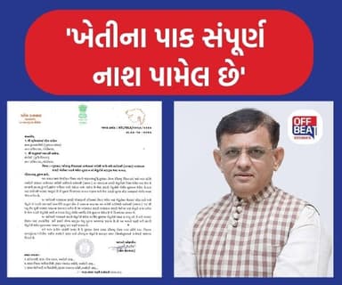 'તાત્કાલિક સર્વે કરાવી યોગ્ય મદદરૂપ થવુ ખુબજ આવશ્યક'