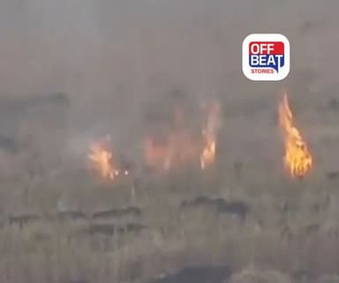 પંજાબમાં પરાળી બાળવાના કેસમાં તીવ્ર ઉછાળો