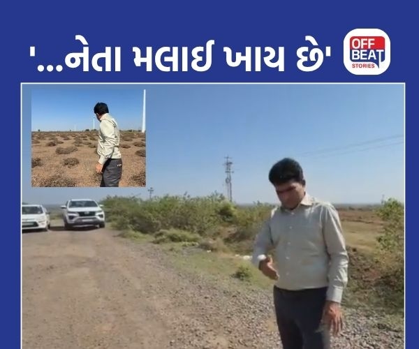 '...રસ્તા, બ્રિજ, ડામર, કપચી બધું જ તમે ખાઈ જાઓ છો'