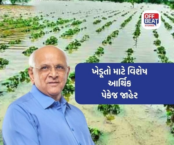 પાક નુકસાની માટે 10 હજાર કરોડની જાહેરાત