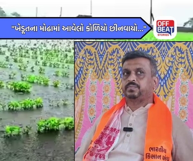 "ઘાસચારો પણ ન આવે તેટલું બજેટ..." - આર.કે. પટેલ