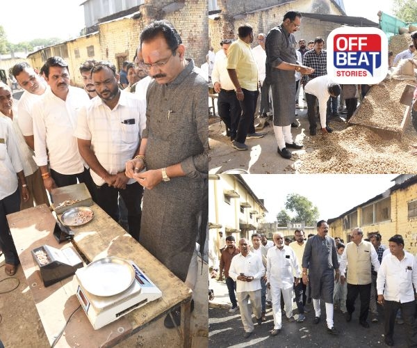 ટેકાના ભાવે ખરીફ પાકોની ખરીદીનો આજથી રાજ્યવ્યાપી શુભારંભ!