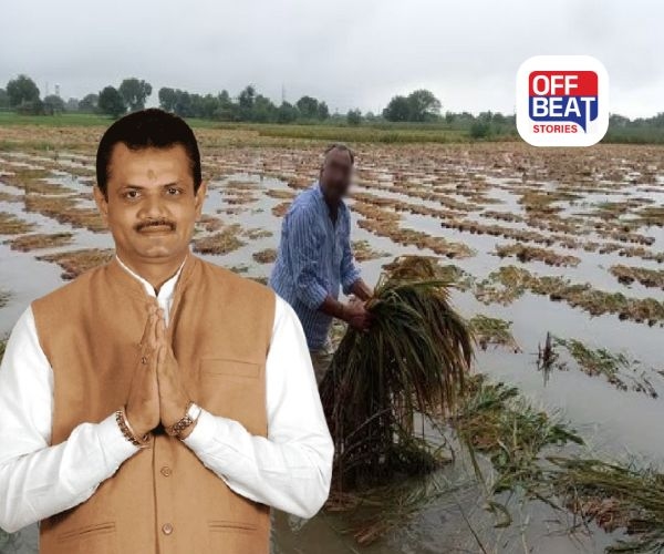 આ જિલ્લાઓમાં પિયત અને બિનપિયત બંનેમાં મળશે રૂ. 22000 ની સહાય