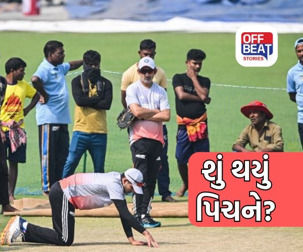 ઈડન ગાર્ડન્સની પિચને શું થયું?