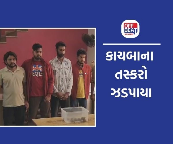 અમદાવાદમાંથી ઝડપાયું કાચબાનું સ્મગલિંગ રેકેટ