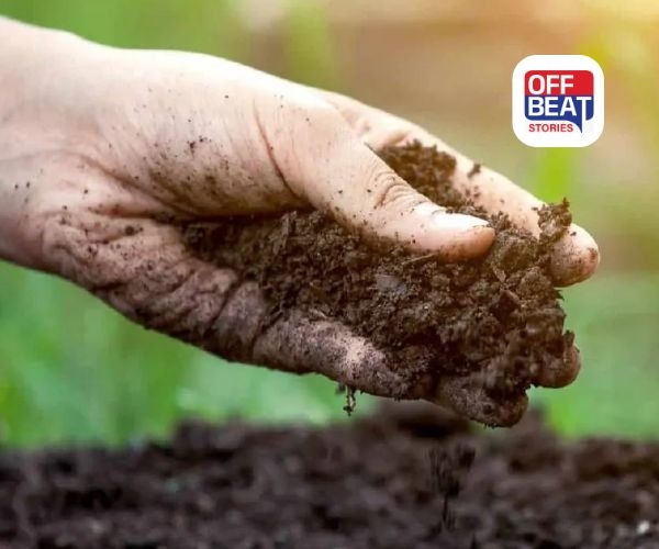 ખાતર કાળાબજાર પર સરકારનો મોટો પ્રહાર