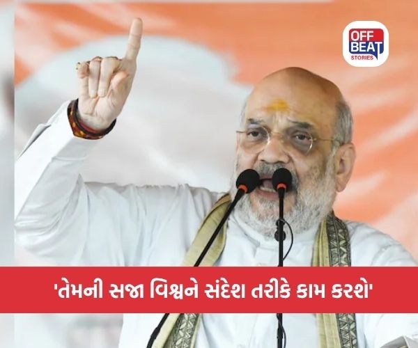 'ગુનેગારોને પાતાળમાંથી પણ શોધી લાવીશું...'