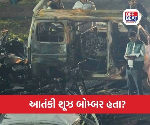 દિલ્હીના આતંકવાદીઓને 20 લાખ રૂપિયા મળ્યા હતા