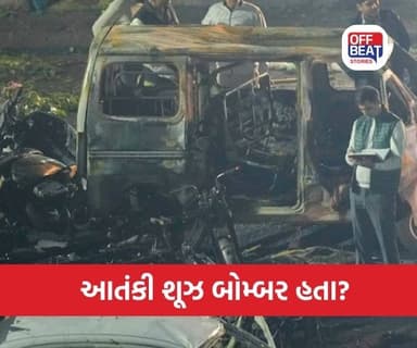 દિલ્હીના આતંકવાદીઓને 20 લાખ રૂપિયા મળ્યા હતા