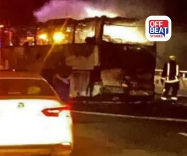 સાઉદી અરેબિયામાં મોટી દુર્ઘટના, 42 ભારતીયોના મોત