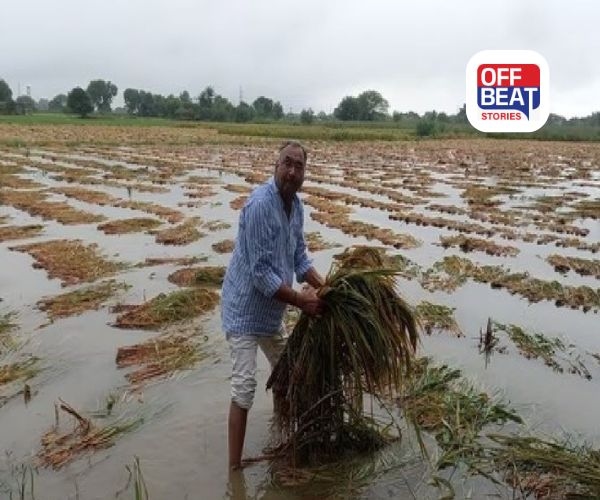 ગુજરાતના ખેડૂતો સતર્ક રહેજો!