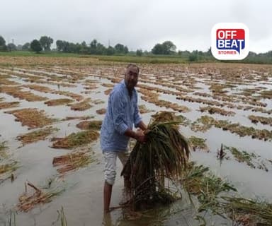 ગુજરાતના ખેડૂતો સતર્ક રહેજો!