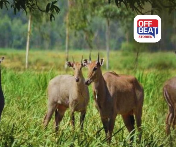 PM પાક વીમામાં મોટો ફેરફાર