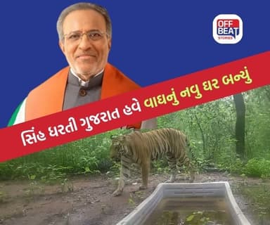 'ગુજરાત દેશનું એવુ રાજ્ય, જ્યાં સિંહ, વાઘ, ચિંતો, દિપડાની જોવા મળે'