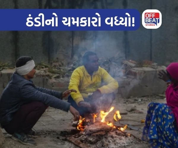ગુજરાતમાં ઠંડીએ પકડી રફ્તાર!