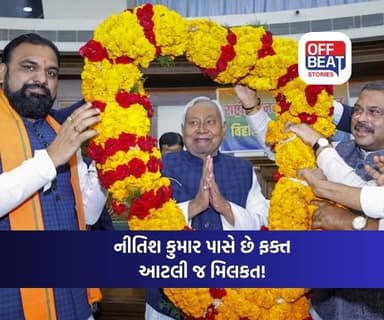 21000 રોકડ, 13 ગાય, દિલ્હીમાં ફ્લેટ...