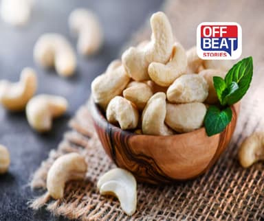 International Cashew Day