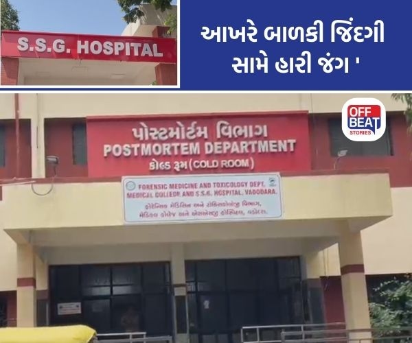 નેત્રંગમાં ધોરણ 7માં ભણતી દીકરીને હવસખોરે પીંખી