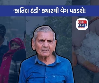 'ડિસેમ્બરના બીજા સપ્તાહથી હવામાનમાં આવશે પલટો'