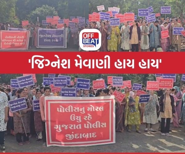 'જિગ્નેશ મેવાણી રાજીનામું આપે'