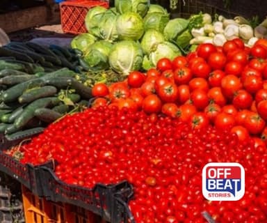 ઘરે જ નર્સરી બનાવી કરો ડબલ કમાણી!