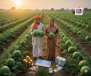 3 વીઘામાં 9 લાખ સુધીની કમાણી!