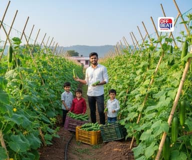 જાન્યુઆરી-ફેબ્રુઆરીમાં કરો આની વાવણી