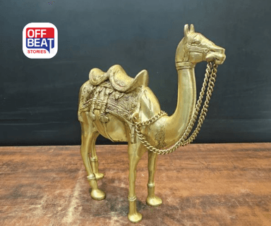 ઘરમાં ઊંટની પ્રતિમા સ્થાપિત કરવાથી ચમકી શકે છે તમારું નસીબ