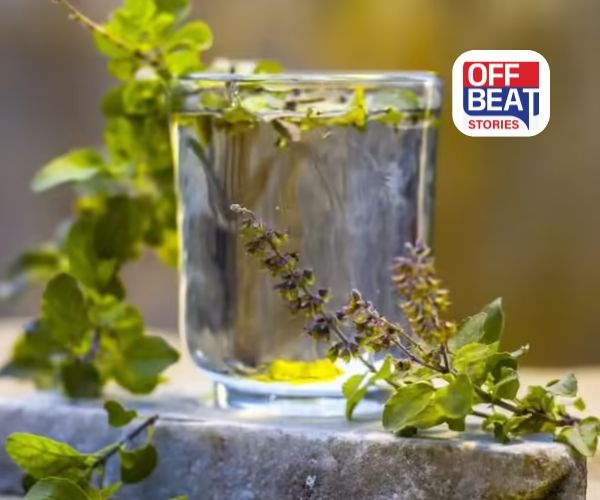 તુલસીનું પાણી પીવાથી અમૃત જેવા અદ્ભૂત ફાયદા